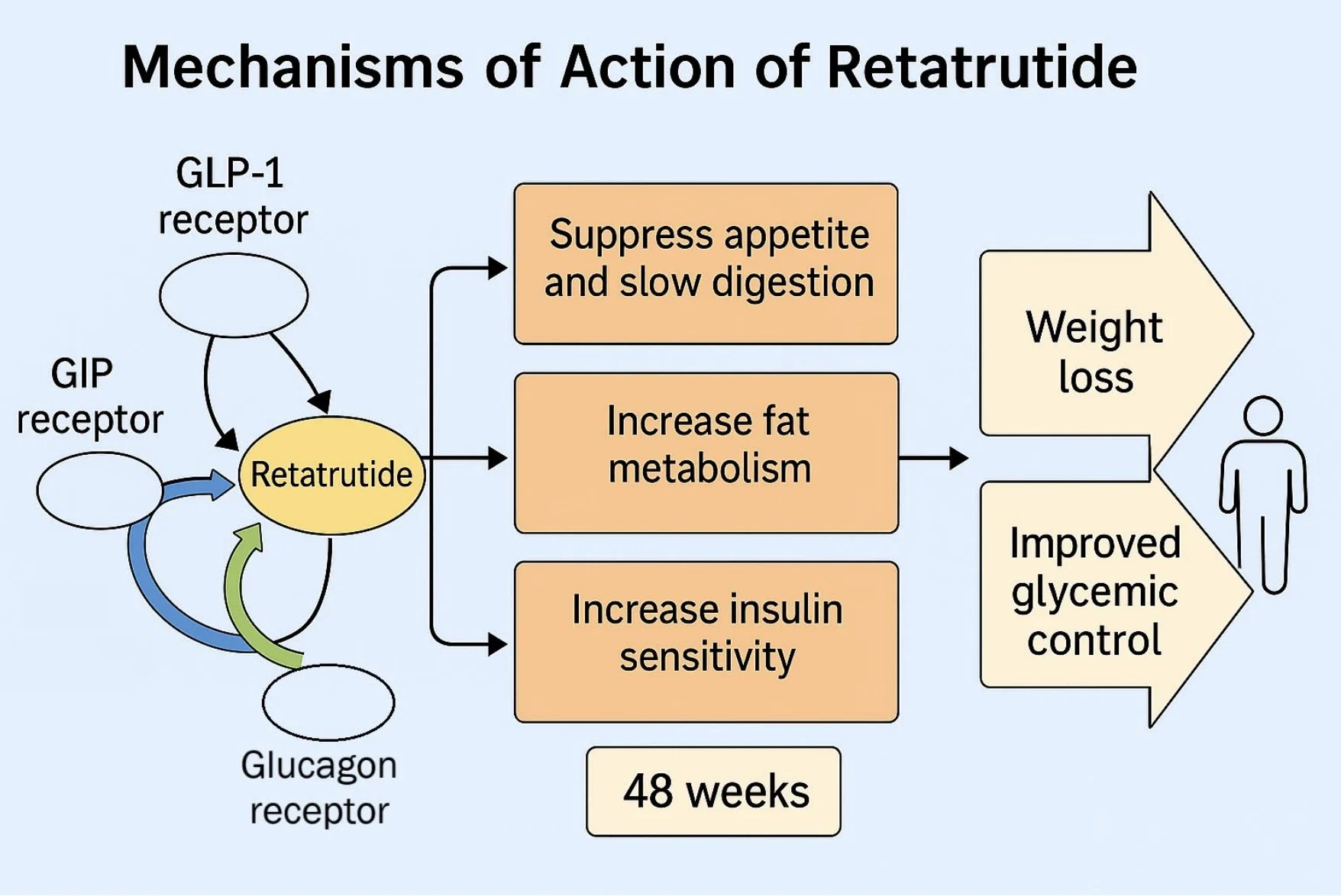 Retatrutid – agonismus na receptorech GLP-1, GIP a glukagonu (schéma)